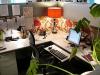 Feng Shui of the workplace in the office and at home