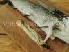 Stuffed pike - step-by-step recipe with photos How to stuff pike and bake in the oven