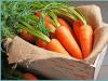 Téli sárgarépa-készítmények: a legjobb és legfinomabb, jól bevált receptek